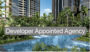 terra-hill-developer-sales-team